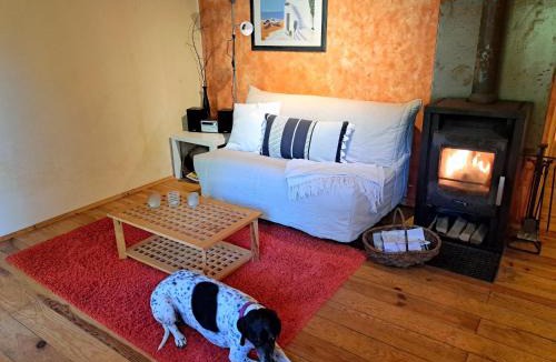 Pays de Phalsbourg Apartment | Apartment in Alsace with Nature Retreat