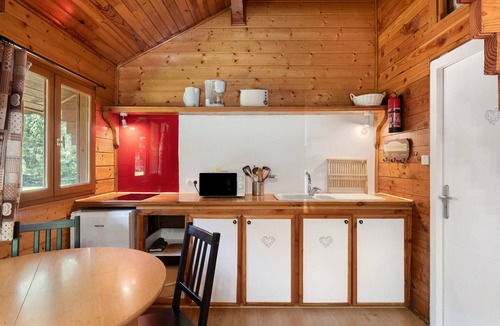 Vaulnaveys-le-Bas Apartment | Apartment 'Lys blanc' with Mountain View, Wi-Fi and Air Conditioning
