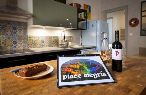 Carcassonne Apartment | Apartment 'Place Alegria' with Private Terrace, Wi-Fi, and Air Conditioning