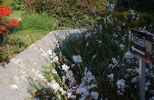 Plumergat Apartment | Apartment-Superior-Ensuite with Shower-Garden view-Au Rez-de-chaussee