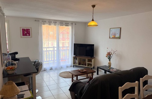 Salies-de-Bearn Apartment | Apartment "T2 Les Mimosas" with Balcony