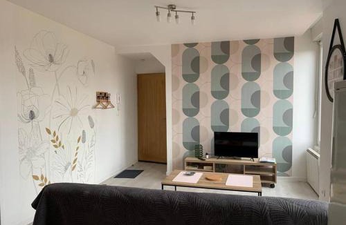Saint-Brisson-sur-Loire Apartment | Appartement avec cour