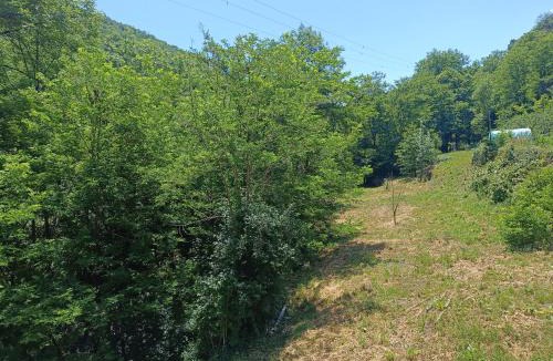 Antraigues-sur-Volane Apartment | Appartement 2 à 4 personnes