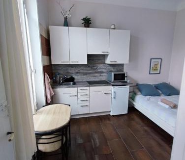 Chatel-Guyon Apartment | Appartement idéalement situé pour curiste