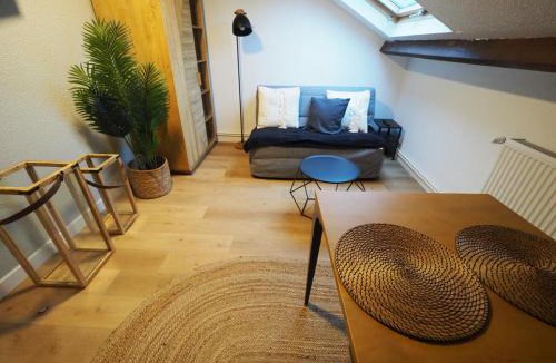 Gien Apartment | Appartement meublé 5 - 15 min Dampierre - 25 min Belleville - WIFI