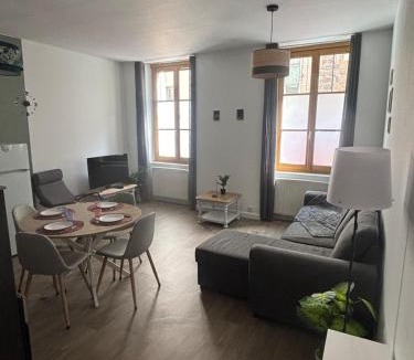 Le Puy-en-Velay Apartment | Appartement T2 cosy au centre du puy en velay