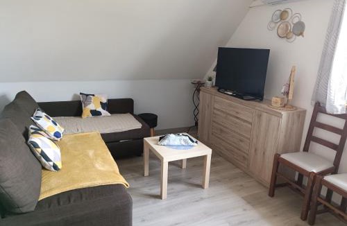 Surbourg Apartment | Au fil du Bonheur studio climatisé