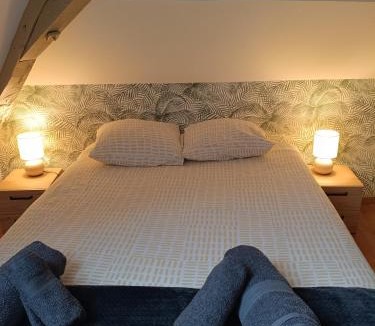 Orthez Apartment | Au nid boisé - 2 chambres 4 pers - centre ville