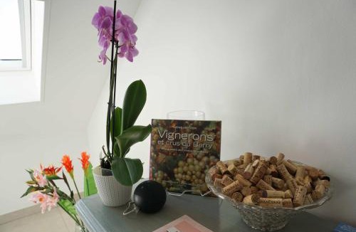 Sancerre House | Au pied des Vignes