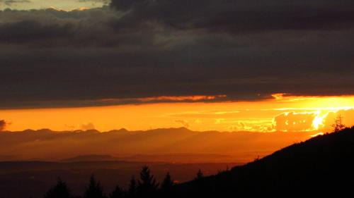 Vollore-Montagne Bed & Breakfast | B&B Les Paddocks