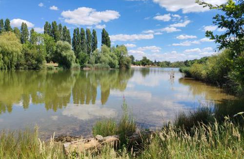 Chatellerault House | Belvédère du lac, grande maison avec jardin