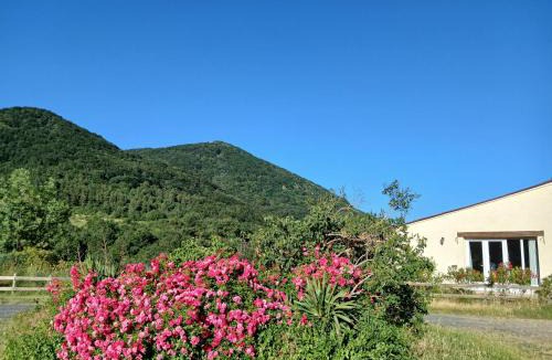 Sougraigne House | Bright loft with mountain and nature view