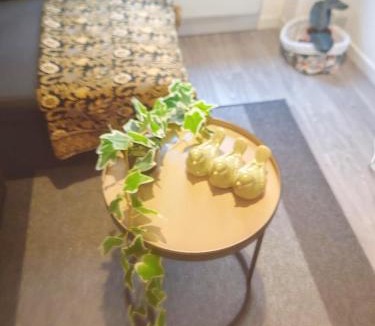 Clermont-Ferrand Apartment | Bulle tropicale jungle