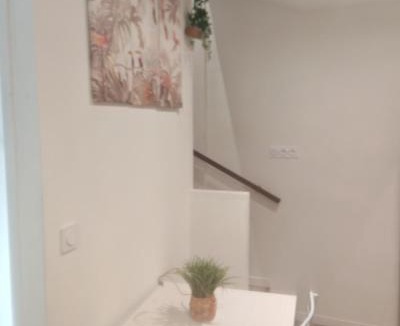 Clermont-Ferrand Apartment | Bulle tropicale jungle