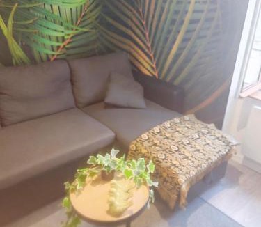 Clermont-Ferrand Apartment | Bulle tropicale jungle