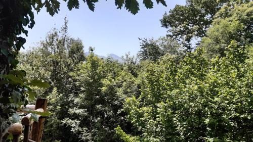 Accous Cabin | Caban'Aspe