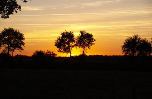 Noyal-Muzillac Other | camping chez l'habitant