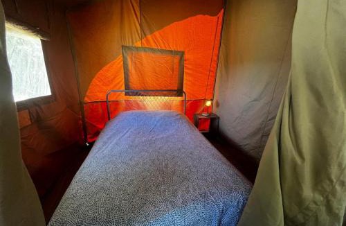 Morlhon-le-Haut Other | Camping Lézard Vacances - Tente Safari Cerf