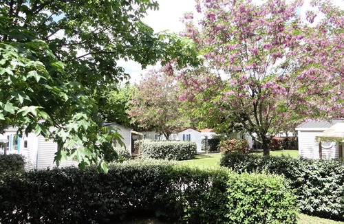 Rosieres House | Camping les Hydrangeas * - Canvas Bungalow 3 rooms 5 people Without Sanitary facilities
