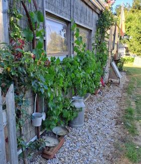 Brix House | Caravane au jardin