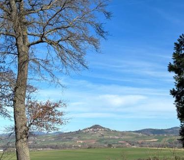 Saint-Martin-des-Plains Apartment | Château de Béthel