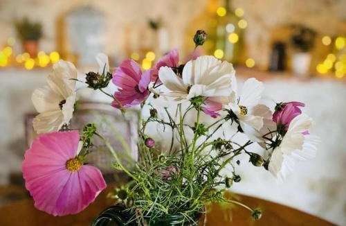 Montaigu-le-Blin House | Chalet à Montaigu-le-Blin avec Spa et Parking - FR-1-489-522