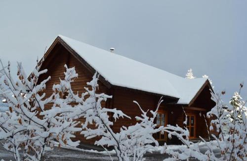 La Joue du Loup Ski Chalet | Chalet 5 pièces avec terrasse et parking - FR-1-504-624