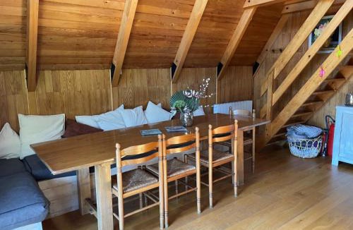 Besse-et-Saint-Anastaise Ski Chalet | Chalet avec vue montagne - 8 pers. - FR-1-814-192