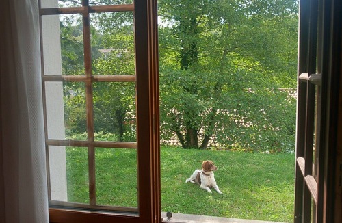 Saint-Pee-sur-Nivelle Villa | Chalet casa del Lago.Se admiten mascotas