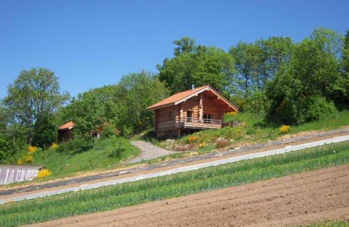Saint-Martin-la-Sauvete House | Chalet chaud, nature sauvage, internet PC, idéal randonnées - FR-1-496-184