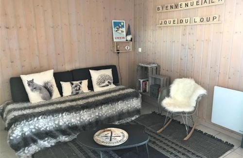La Joue du Loup Ski Chalet | Chalet Duplex 7 Pers, 2 Chambres, Parking, Animaux Bienvenus - FR-1-504-51