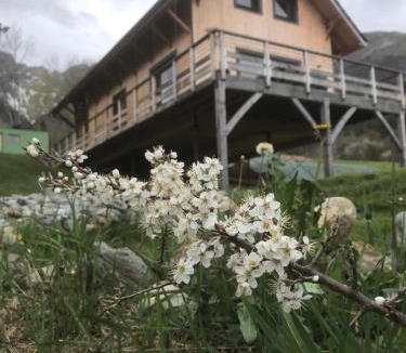 Le Noyer House | Chalet Gîte Magali de 2 à 12 pers