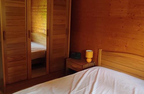 Besse-et-Saint-Anastaise Ski Chalet | Chalet montagnard confortable à Super Besse avec grand terrain et parking privé - FR-1-814-139