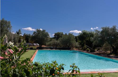 Le Soler House | Chalet Sardane