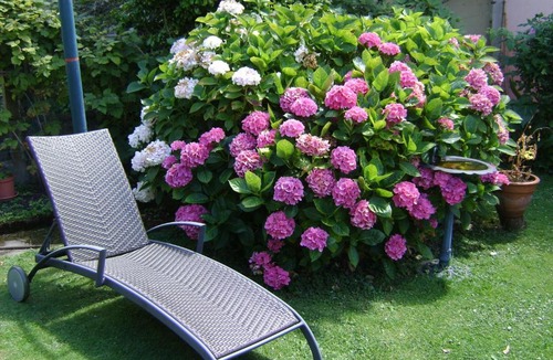 Lorient Bed & Breakfast | Chambre d'hôtes La Masana