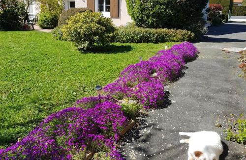 Chatillon-sur-Indre Bed & Breakfast | Chambres d'hôtes Berry: Nature et détente près des Châteaux de la Loire - FR-1-591-690
