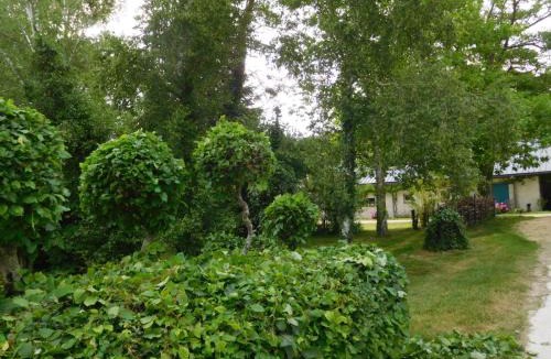 Allouis Bed & Breakfast | Chambres d'hôtes Ferme de Sardonnet