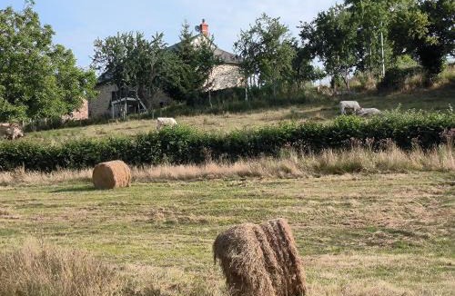 Larochemillay Bed & Breakfast | Chambres d'Hôtes Montjouan