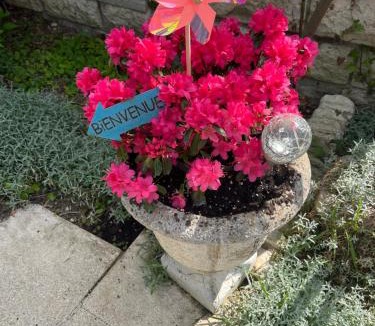 Senlis Bed & Breakfast | chambres de la Nonette