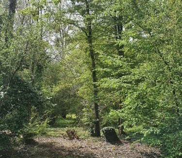 Change Bed & Breakfast | Chambres près du circuit