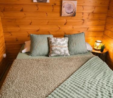 Villefranche-sur-Cher Ski Chalet | Charmant chalet au cœur de la Sologne