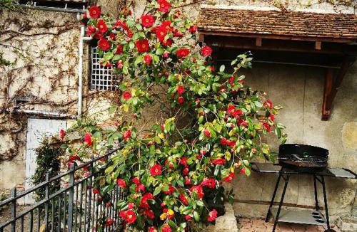 Billy House | Charmant gîte près d'un château avec jardin, terrasse, parking et WiFi, à 14 km de Vichy - FR-1-489-1