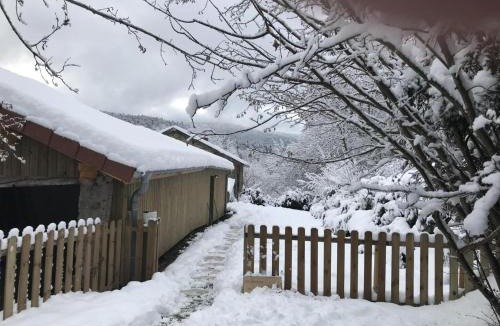 Saint-Priest-la-Prugne Apartment | Charmant studio en montagne avec jardin, animaux admis - FR-1-496-224