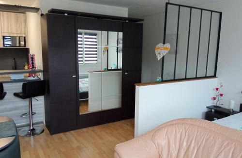 Niederbronn-les-Bains Apartment | Charmant studio classé 3 étoiles au coeur de Niederbronn-les-Bains