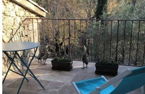 Reilhanette House | Charming 3-star farmhouse