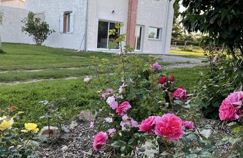 Precieux Cottage | Charming cottage for 5 with terrace and nature in Précieux