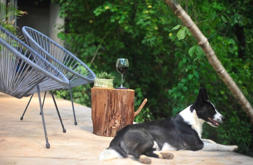 Saint-Jean-de-Paracol House | Charming cottage under the trees