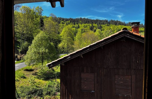 Saint-Martin-des-Olmes House | Charming gîte in a renovated mill - Absolute peace - Nature