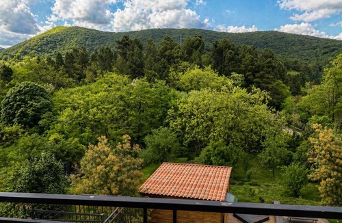 Le Martinet Apartment | Charming gîte overlooking the Cévennes and 3000m2 grounds