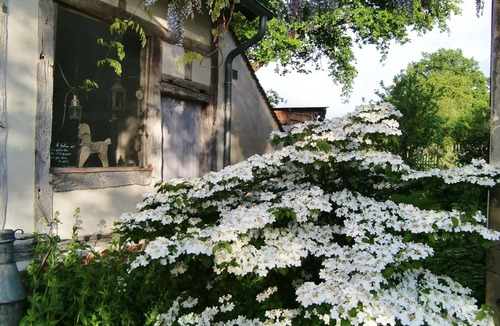 Chatenoy House | Charming house on a property with pond near the forest